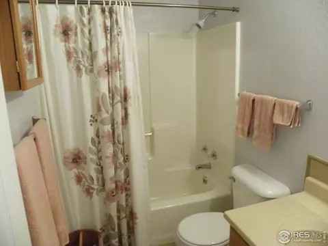 1202 Walnut St, Windsor, CO 80550 photo 21