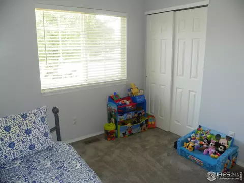 1202 Walnut St, Windsor, CO 80550 photo 25