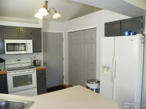 1202 Walnut St, Windsor, CO 80550 photo 10