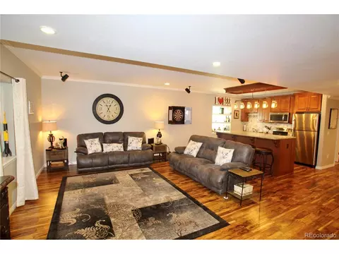 8259 E 150th Pl, Thornton, CO 80602 photo 21