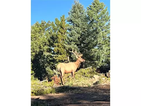 26775 Light Ln, Conifer, CO 80433 photo 40
