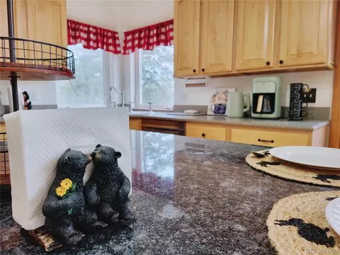20133 Silver Ranch Rd, Conifer, CO 80433 photo 6