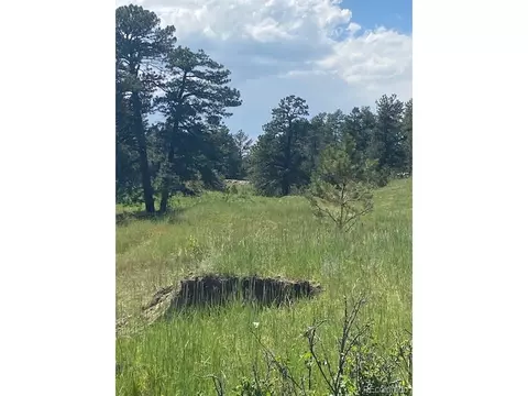 11722 County Road 102, Elbert, CO 80106
