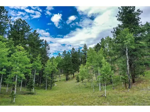 8549 Cedar Mountain Rd, Divide, CO 80814 photo 48