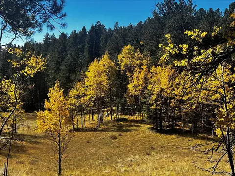 8549 Cedar Mountain Rd, Divide, CO 80814 photo 34
