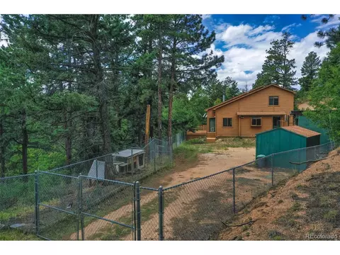 8549 Cedar Mountain Rd, Divide, CO 80814 photo 35