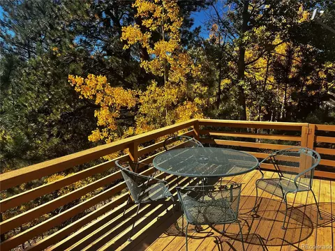8549 Cedar Mountain Rd, Divide, CO 80814 photo 33