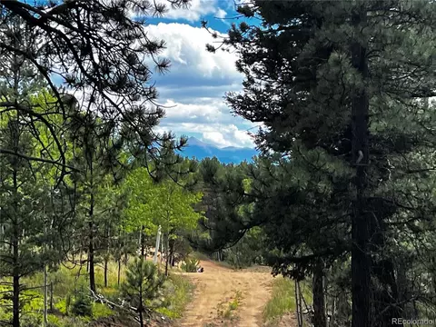 8549 Cedar Mountain Rd, Divide, CO 80814 photo 37