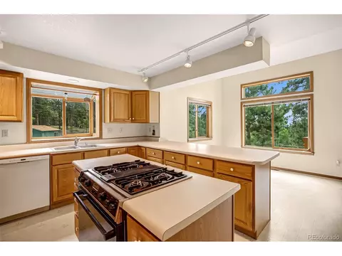8549 Cedar Mountain Rd, Divide, CO 80814 photo 14