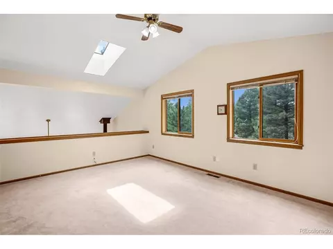 8549 Cedar Mountain Rd, Divide, CO 80814 photo 26