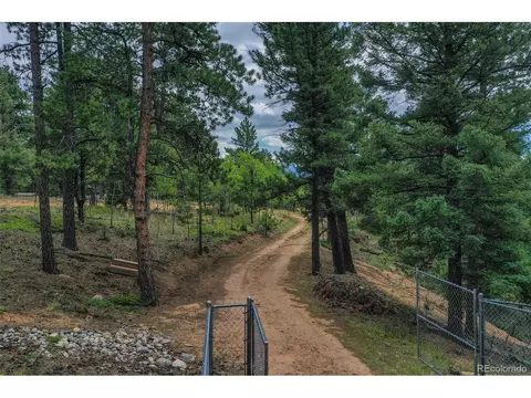 8549 Cedar Mountain Rd, Divide, CO 80814 photo 36