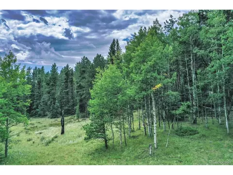 8549 Cedar Mountain Rd, Divide, CO 80814 photo 46