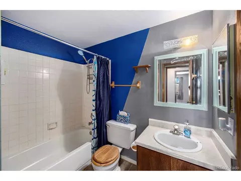 38 Deerhaven Dr, Bailey, CO 80421 photo 12