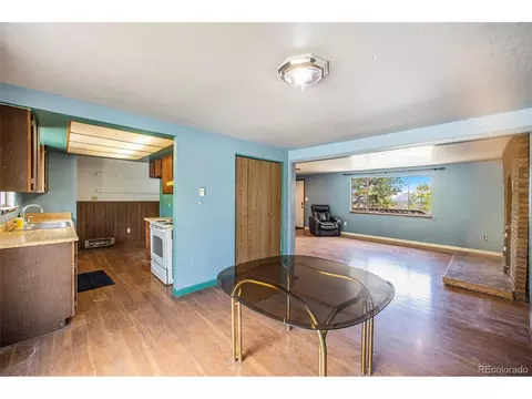 38 Deerhaven Dr, Bailey, CO 80421 photo 9
