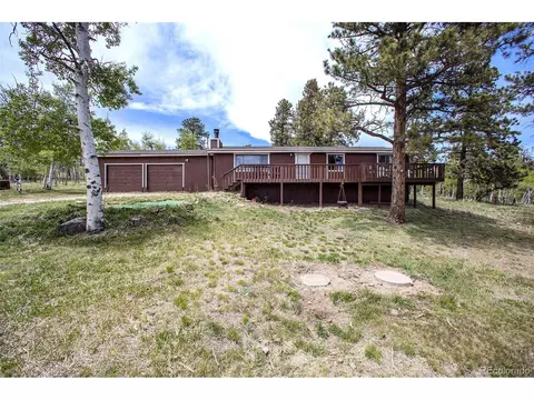 38 Deerhaven Dr, Bailey, CO 80421 photo 24