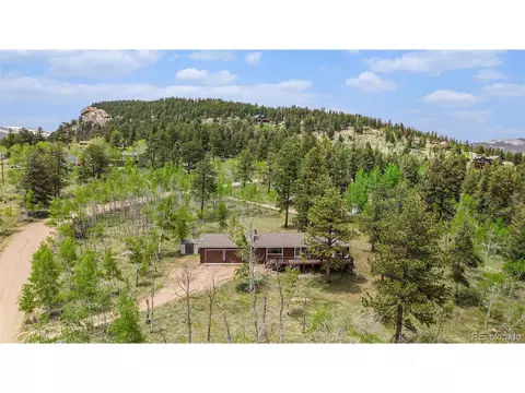 38 Deerhaven Dr, Bailey, CO 80421 photo 3