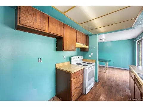 38 Deerhaven Dr, Bailey, CO 80421 photo 11