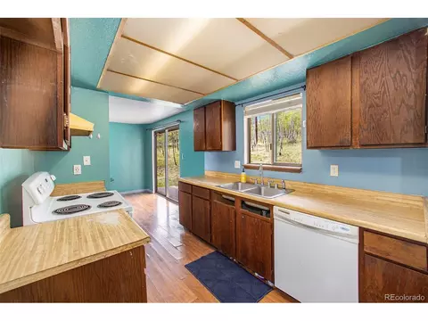 38 Deerhaven Dr, Bailey, CO 80421 photo 10