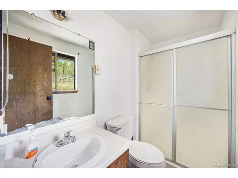 38 Deerhaven Dr, Bailey, CO 80421 photo 15