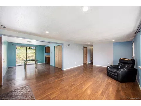 38 Deerhaven Dr, Bailey, CO 80421 photo 6