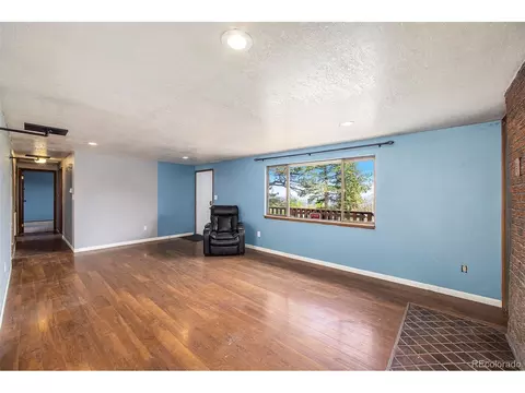 38 Deerhaven Dr, Bailey, CO 80421 photo 7