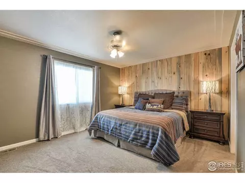 616 Foxtail Way, Severance, CO 80550 photo 12