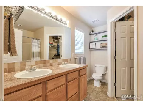 616 Foxtail Way, Severance, CO 80550 photo 13