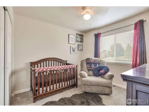 616 Foxtail Way, Severance, CO 80550 photo 15
