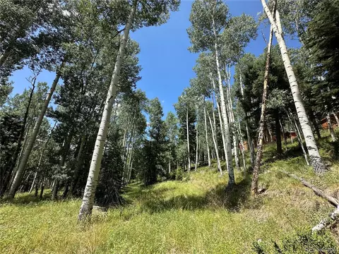 7 Calkins St, Jasper, CO 81132