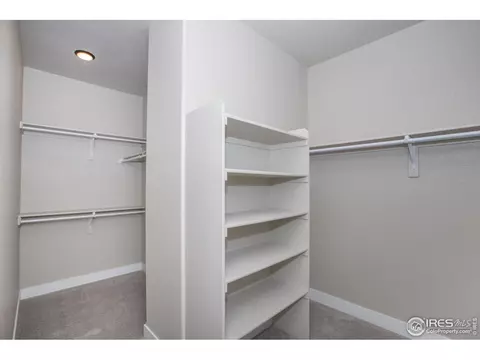1913 Rolling Wind Dr, Windsor, CO 80550 photo 22
