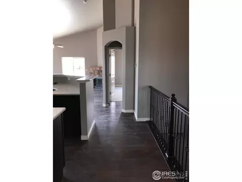 1778 Littlewick, Windsor, CO 80550 photo 25