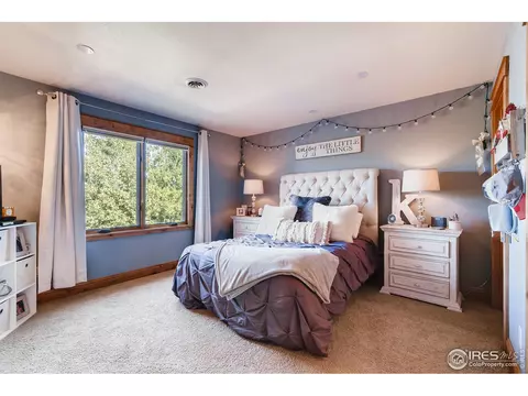 1508 Pintail Bay, Windsor, CO 80550 photo 25