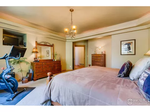 1508 Pintail Bay, Windsor, CO 80550 photo 16
