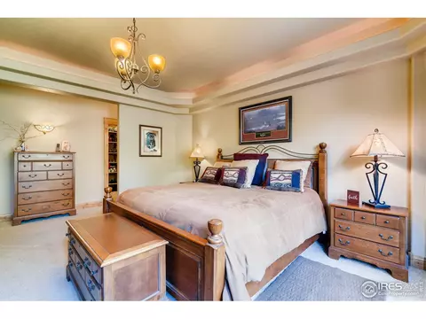 1508 Pintail Bay, Windsor, CO 80550 photo 15