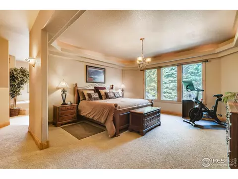 1508 Pintail Bay, Windsor, CO 80550 photo 14