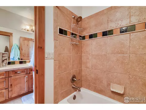 1508 Pintail Bay, Windsor, CO 80550 photo 24