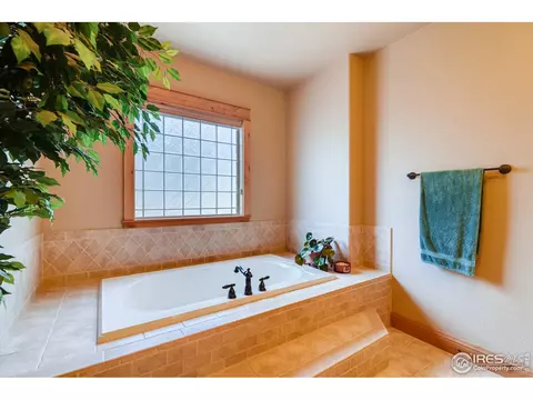 1508 Pintail Bay, Windsor, CO 80550 photo 19