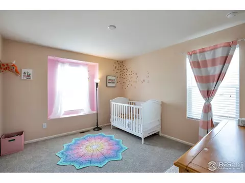 2765 E 159th Way, Thornton, CO 80602 photo 20