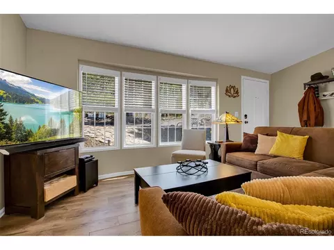 Living - 803 Bonell Dr, Fairplay, CO 80440 photo 1 of 4