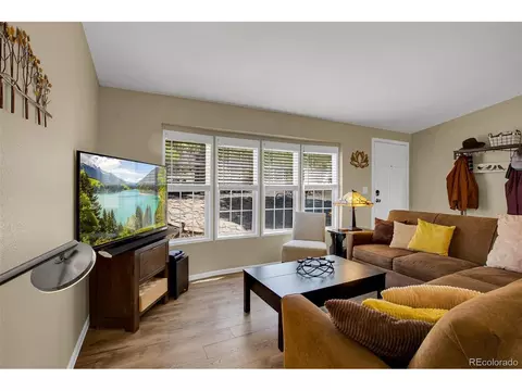 Living - 803 Bonell Dr, Fairplay, CO 80440 photo 4 of 4