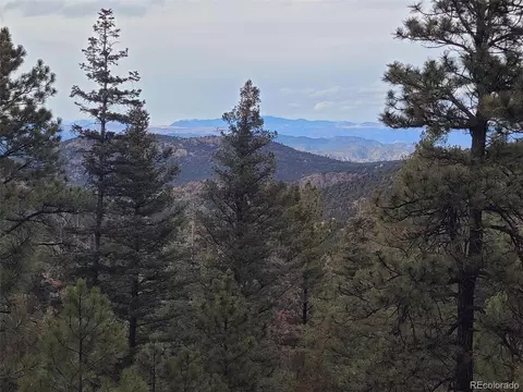 2221 Marcey Rd, Westcliffe, CO 81252