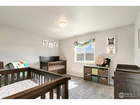 5423 Clarence Dr, Windsor, CO 80550 photo 27