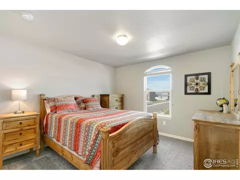 5423 Clarence Dr, Windsor, CO 80550 photo 30