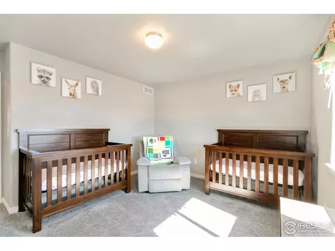 5423 Clarence Dr, Windsor, CO 80550 photo 26