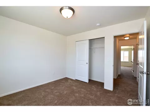 2105 Orchard Bloom Dr, Windsor, CO 80550 photo 30