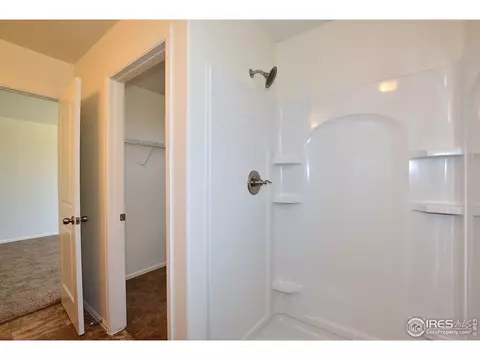 2105 Orchard Bloom Dr, Windsor, CO 80550 photo 24