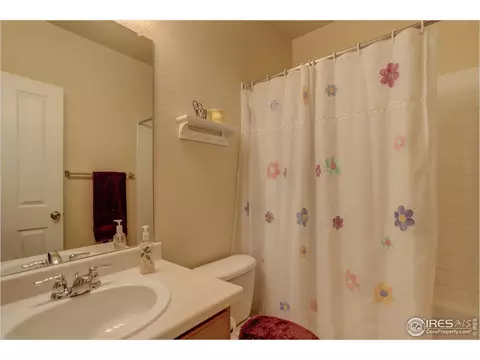 3589 E 140th Pl, Thornton, CO 80602 photo 29