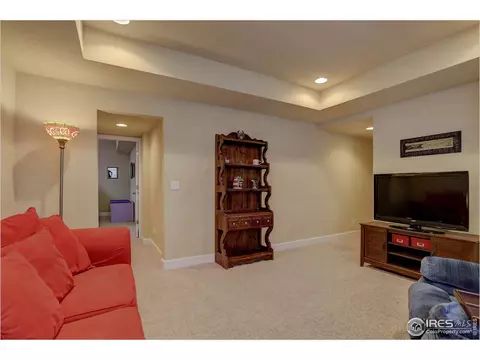 3589 E 140th Pl, Thornton, CO 80602 photo 28