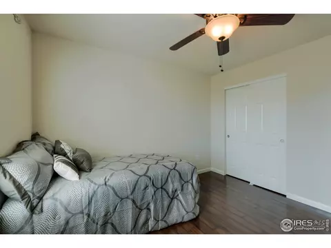 155 Halibut Dr, Windsor, CO 80550 photo 35