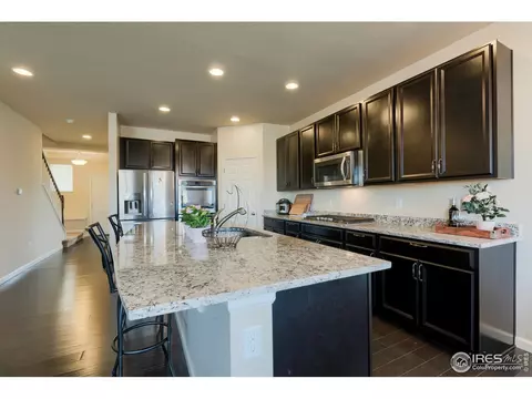 155 Halibut Dr, Windsor, CO 80550 photo 4